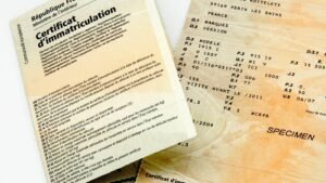 Spécimen carte grise